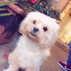 Meet your Posher, Kristina